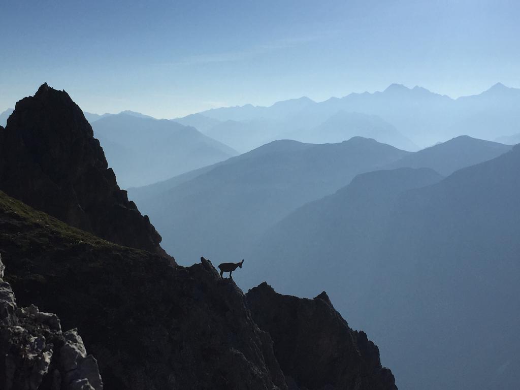 Alpenhaus Monte Hotel Neustift im Stubaital Eksteriør billede